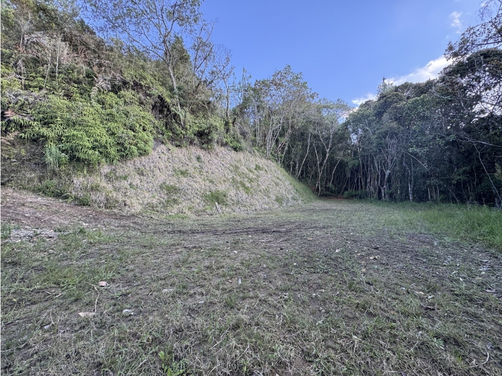 OPORTUNIDAD LOTE EN SANTA ELENA RODEADO DE BOSQUE — foto 5