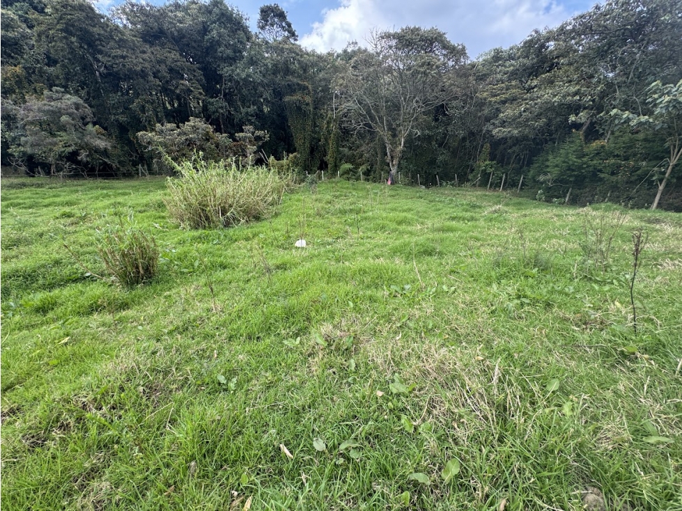 Lote en parcelación por el Alto de Palmas con licencia — foto 2
