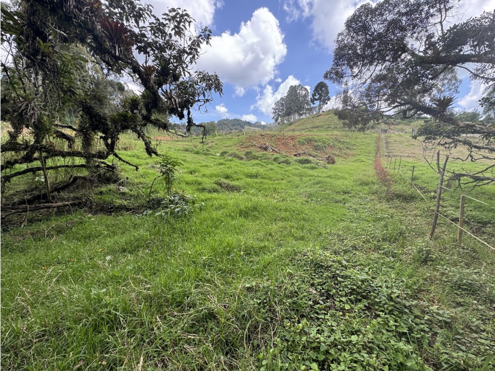 Lote en parcelación por el Alto de Palmas con licencia — foto 4