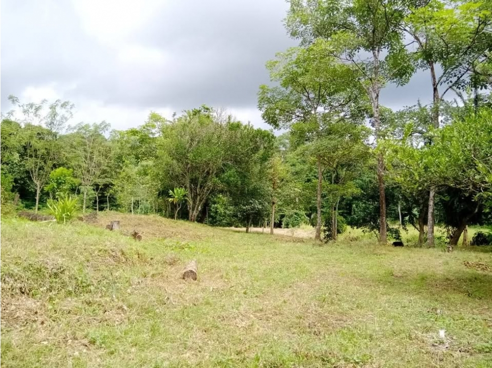 Terreno en Macaracas - 1