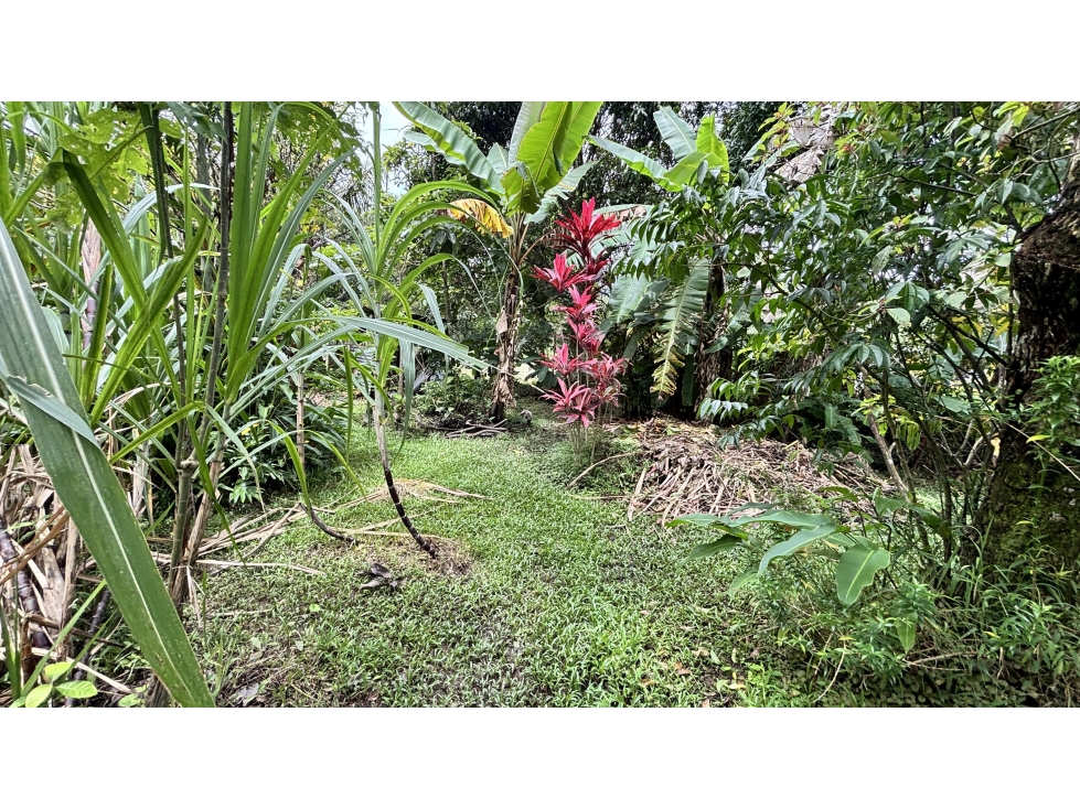 TERRENO EN EL VALLE DE ANTON - 4