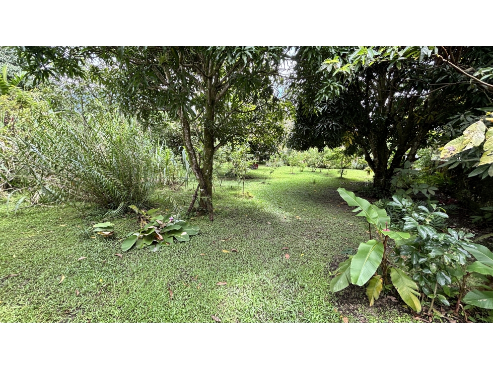 TERRENO EN EL VALLE DE ANTON - 6