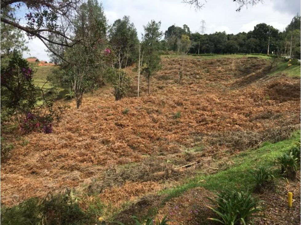 Lote Alto del Escobero