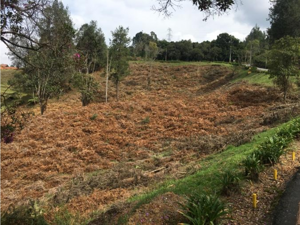 Lote Alto del Escobero — foto 4