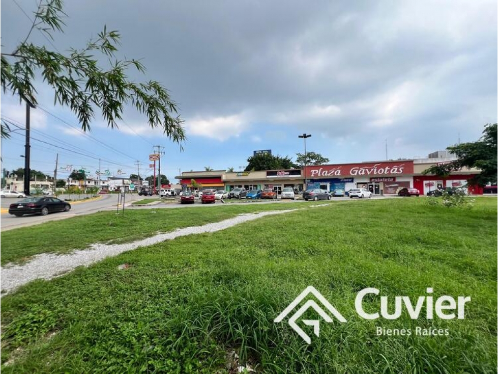 TR2402-RS TERRENO EN RENTA, PLAZA LAS GAVIOTAS ZONA CENTRO DE ALTAMIRA - 5