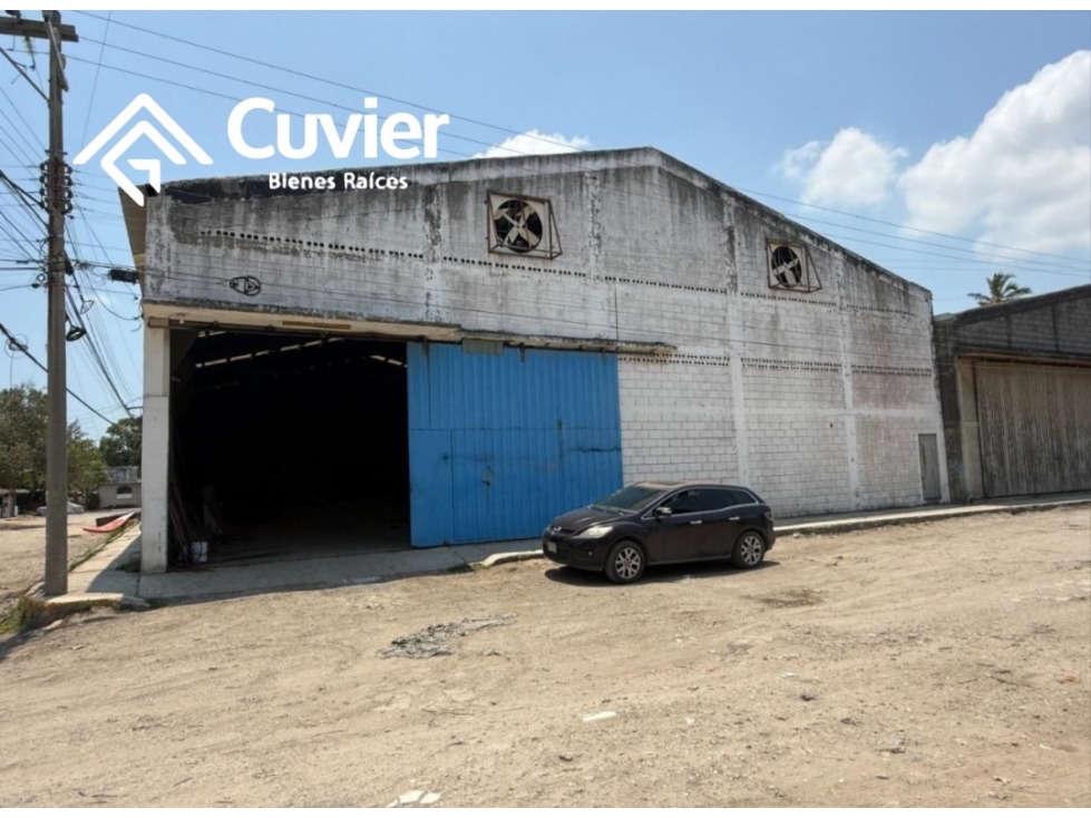 BR2694-ZR BODEGA EN RENTA, COL. DEL BOSQUE - 2