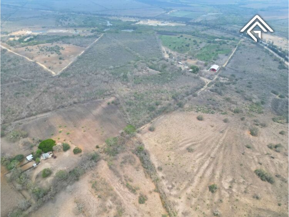 TV1691-DE HECTAREAS EN VENTA , ALTAMIRA - 2