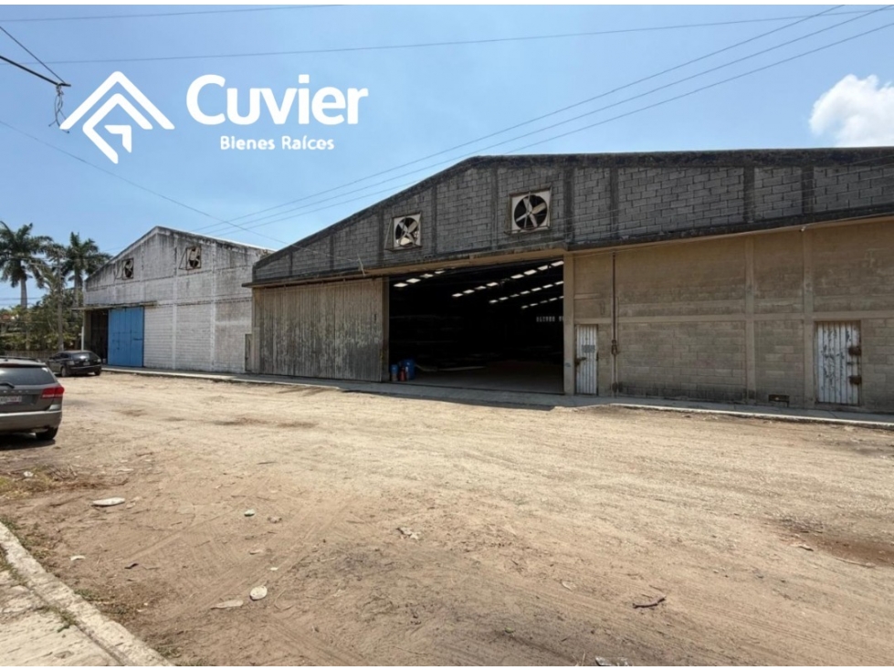 BR2694-ZR BODEGA EN RENTA, COL. DEL BOSQUE - 4