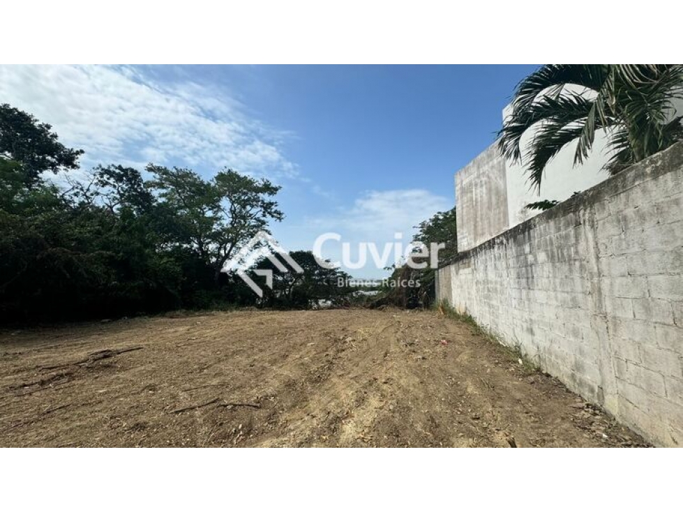 TV2045-VG TERRENO EN VENTA, COL. OJITAL - 6