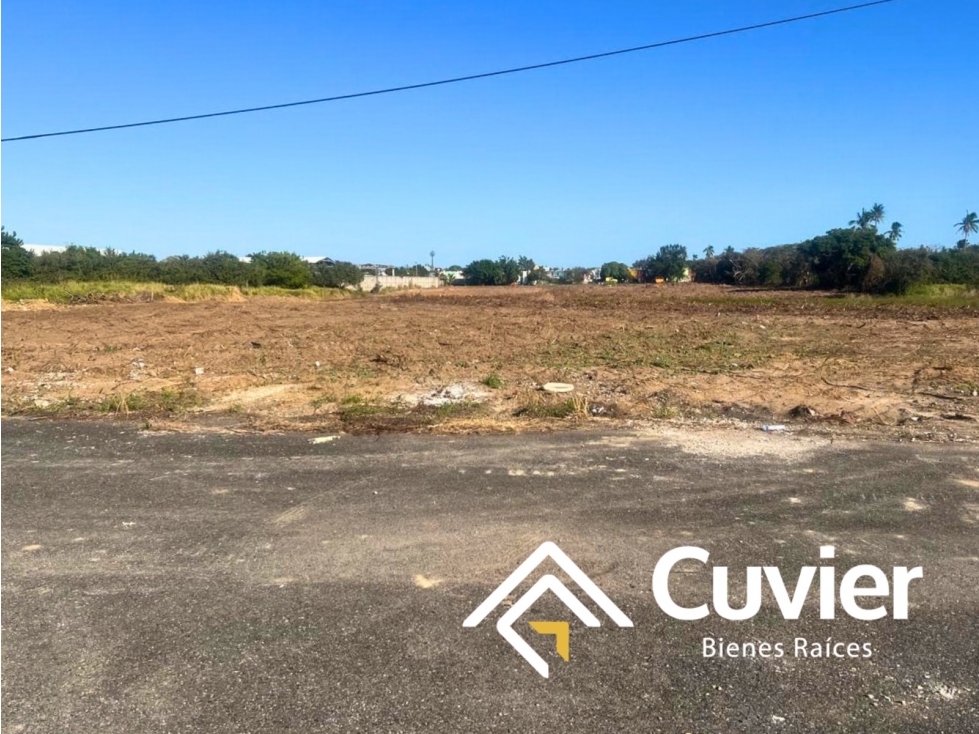 TR2697-DE LOTES EN RENTA POR M2, COL. PEDRERA - 5