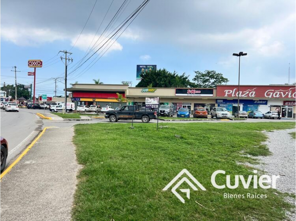 TR2402-RS TERRENO EN RENTA, PLAZA LAS GAVIOTAS ZONA CENTRO DE ALTAMIRA - 4