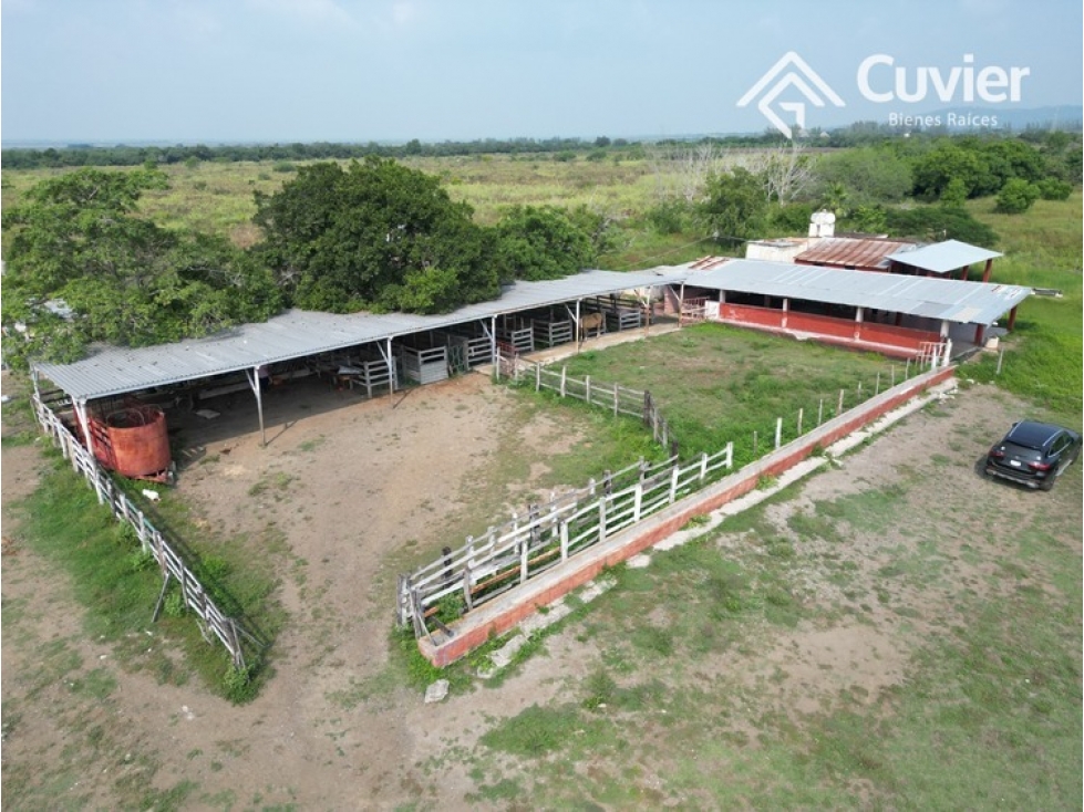 RV1953-JG RANCHO EN VENTA, CARRETERA TAMPICO-MANTE - 6