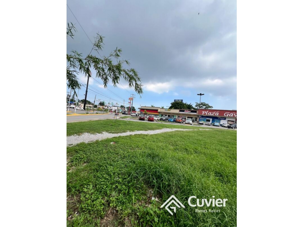 TR2402-RS TERRENO EN RENTA, PLAZA LAS GAVIOTAS ZONA CENTRO DE ALTAMIRA - 6