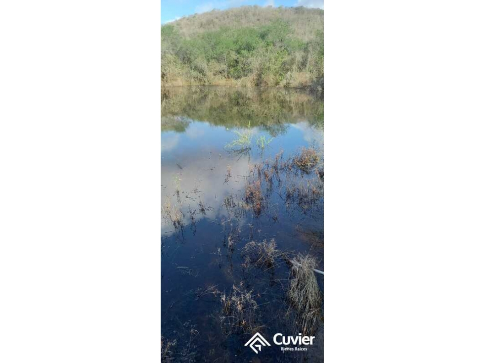 RV2715-CD RANCHO EN VENTA, CARRETERA GONZALEZ- VICTORIA - 5