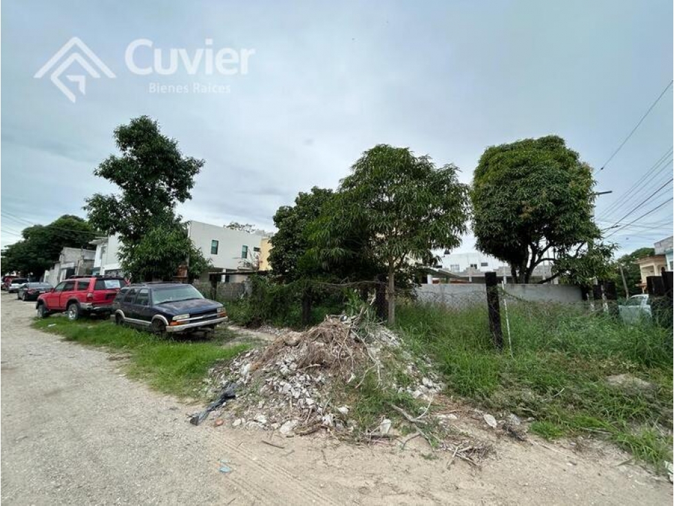 TR1910-RD TERRENO EN RENTA, COL. ALEJANDRO BRIONES - 3
