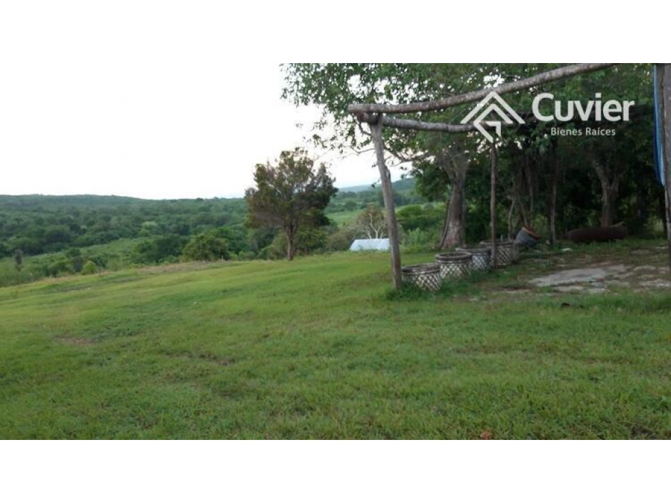 RV2127-RD RANCHO EN VENTA, ALDAMA, TAMAULIPAS - 5