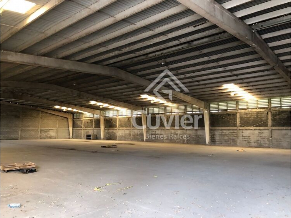 BR2195-VG BODEGA EN RENTA, CORREDOR INDUSTRIAL - 2