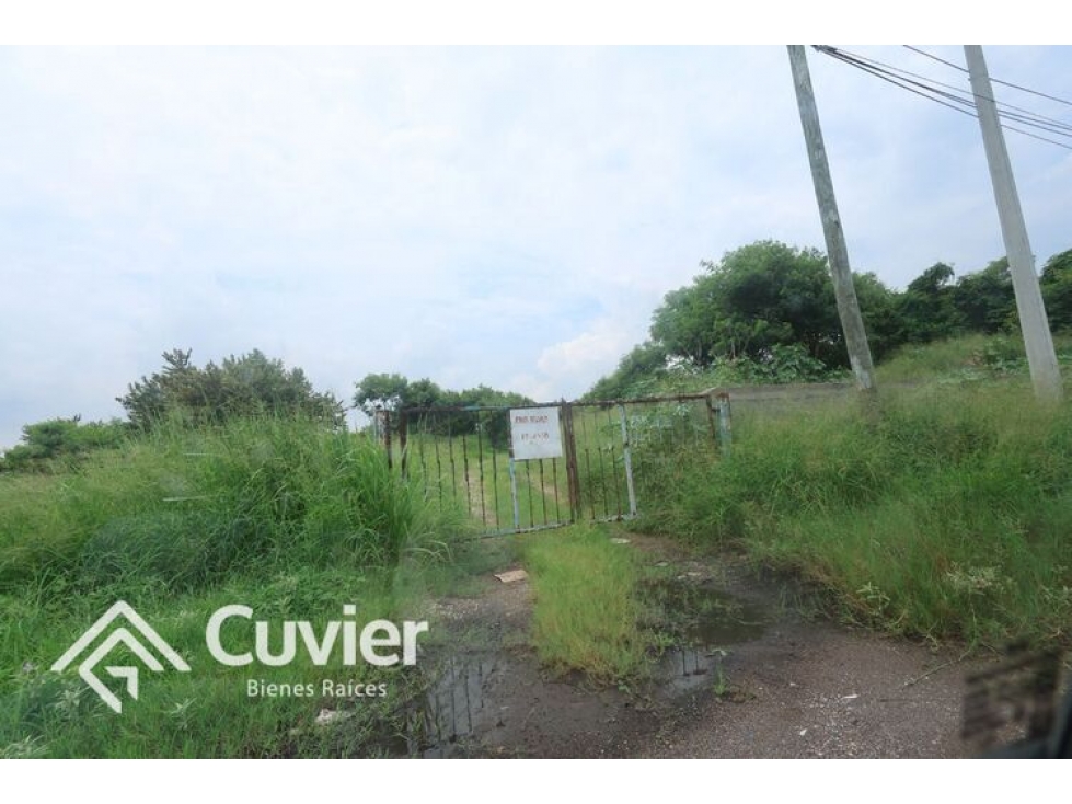 TV2397-CM TERRENO EN VENTA, COL. MIRAMAPOLIS - 2
