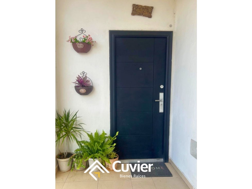 DR2447-DE DEPARTAMENTO EN RENTA, AV. ROSALIO BUSTAMANTE — foto 2