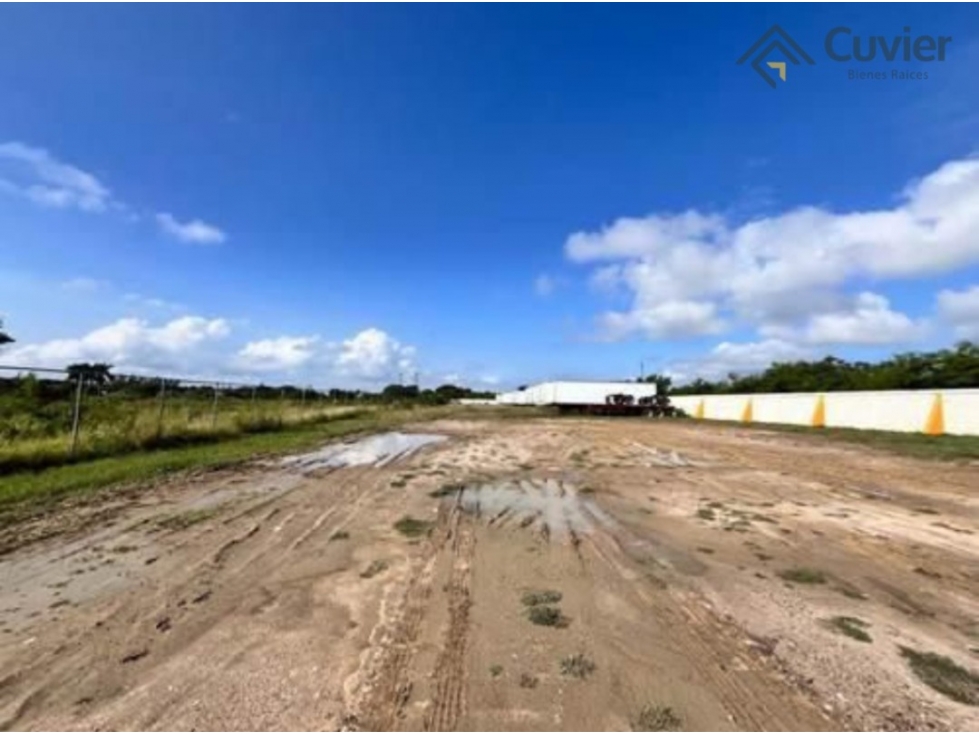TR2649-FR TERRENO EN RENTA, COL. MIRAMAR-PRECIO POR M2 - 2