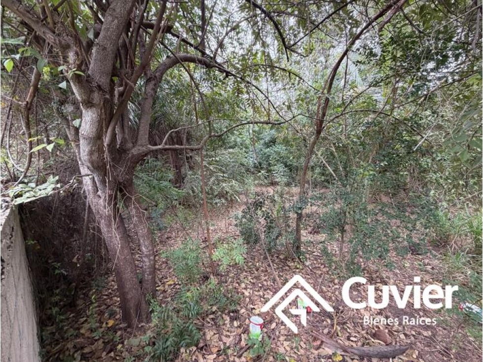 TV2683-RD TERRENO EN VENTA, COL. LOMAS DE MIRALTA — foto 3