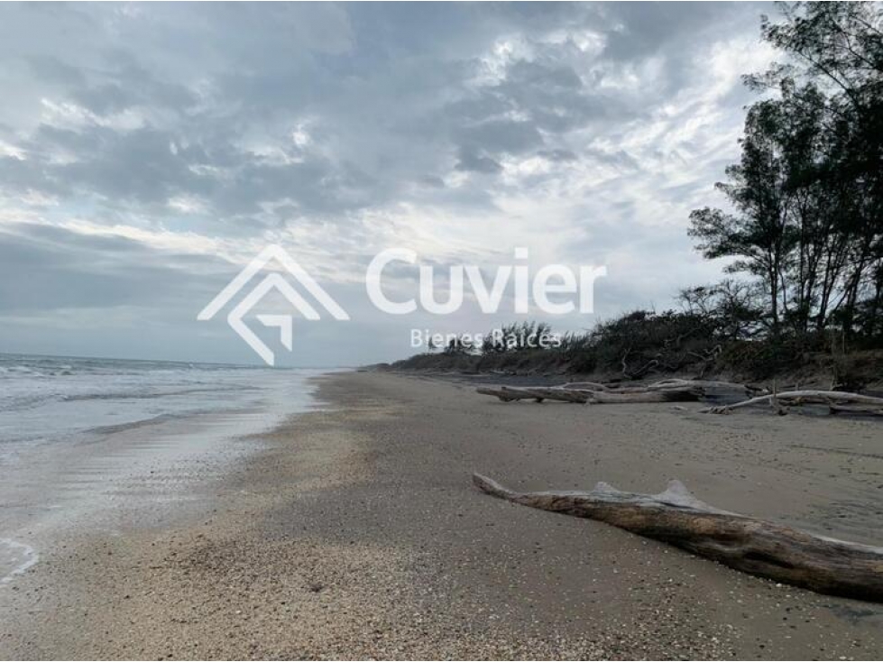 TV1891-JG TERRENO EN VENTA, PUEBLO VIEJO-VERACRUZ - 5