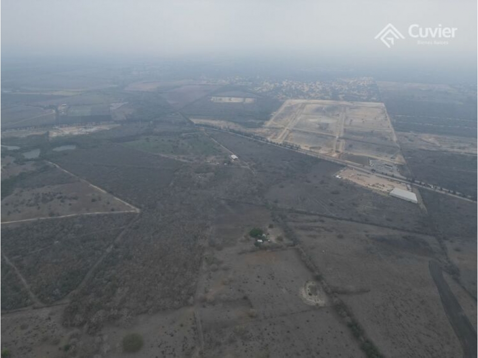 TV1691-DE HECTAREAS EN VENTA , ALTAMIRA - 3