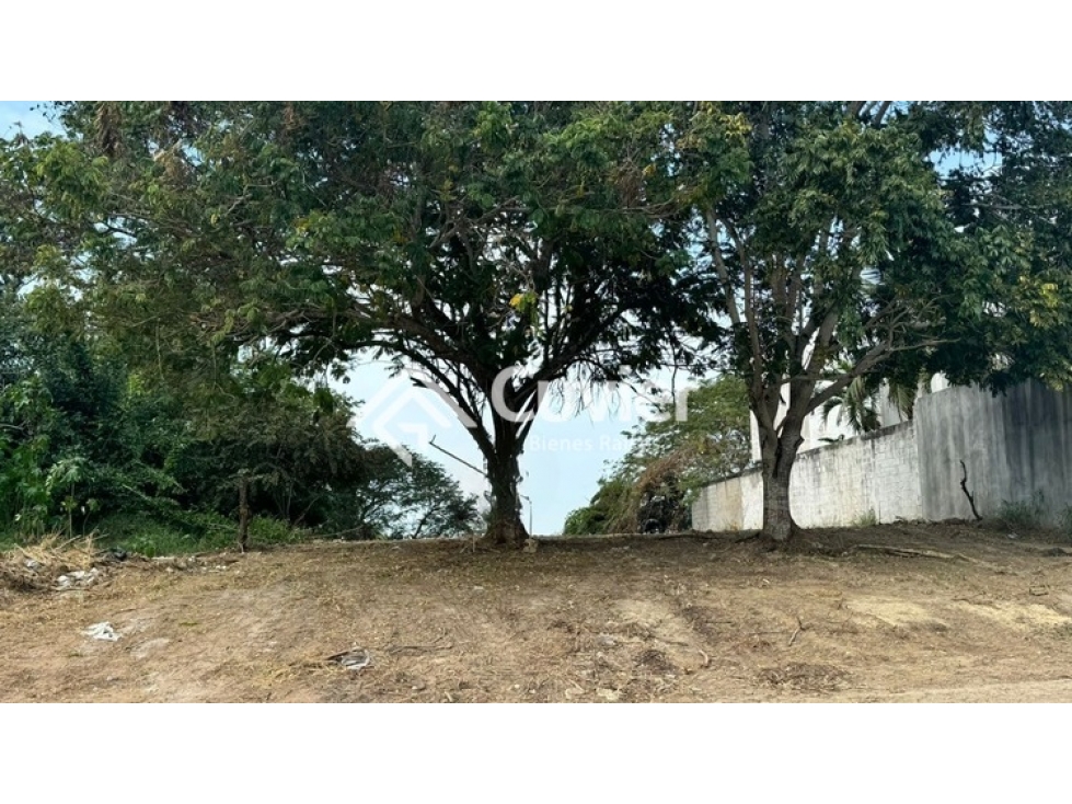 TV2045-VG TERRENO EN VENTA, COL. OJITAL - 4