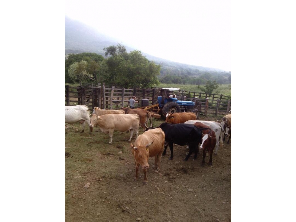 RV2127-RD RANCHO EN VENTA, ALDAMA, TAMAULIPAS - 6