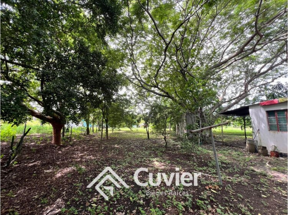 TV2356-RS TERRENO EN VENTA, ESTACIÓN TAMOS. - 4
