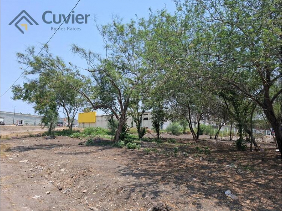 TV2459-JG TERRENO EN VENTA, ZONA CENTRO DE ALTAMIRA — foto 2