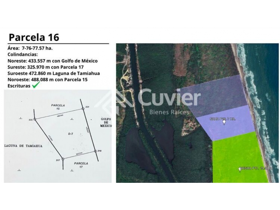 TV2013-CD TERRENO EN VENTA, LA RIBERA,VERACRUZ- PRECIO POR M2 - 2