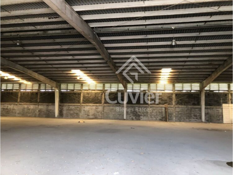 BR2195-VG BODEGA EN RENTA, CORREDOR INDUSTRIAL - 5