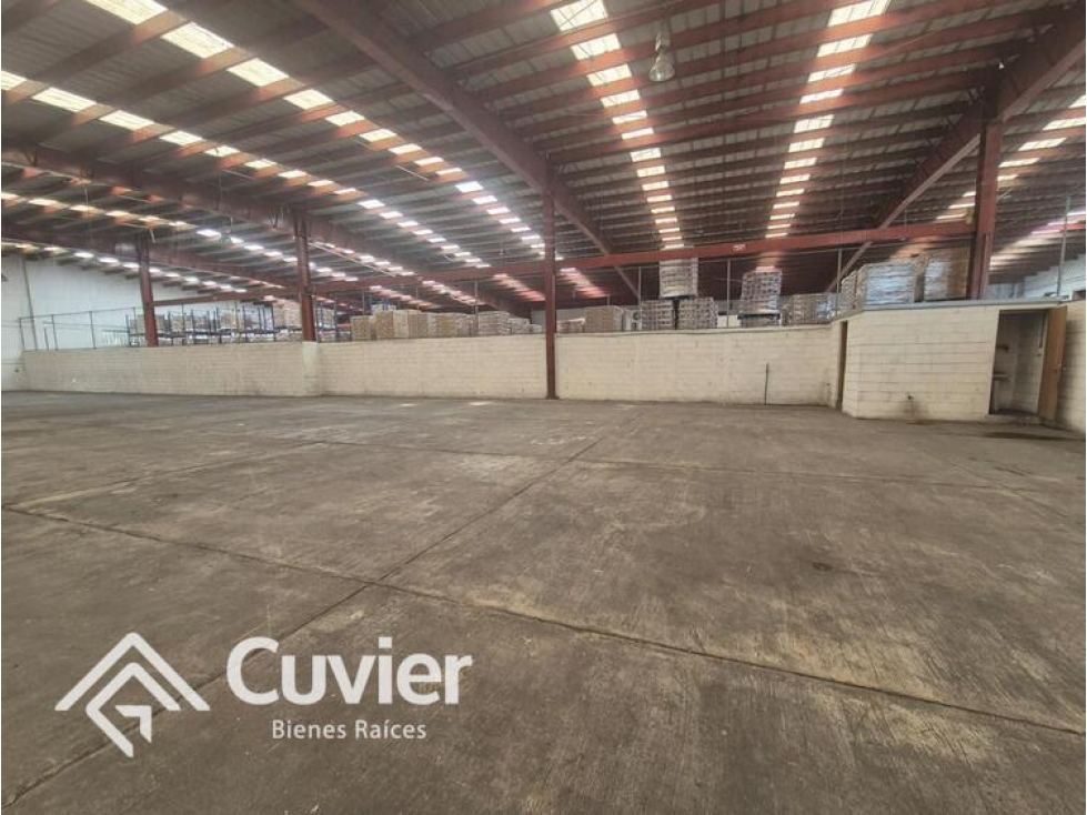 BR2335-CM BODEGA EN RENTA, COL. AMÉRICO VILLAREAL - 4