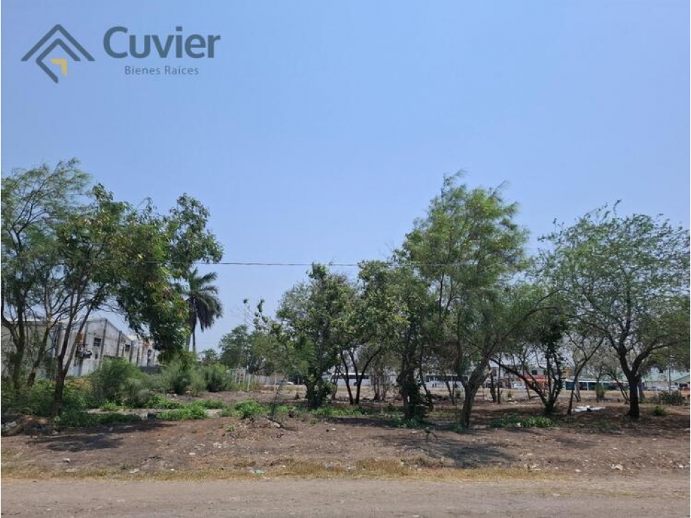 TV2459-JG TERRENO EN VENTA, ZONA CENTRO DE ALTAMIRA — foto 4