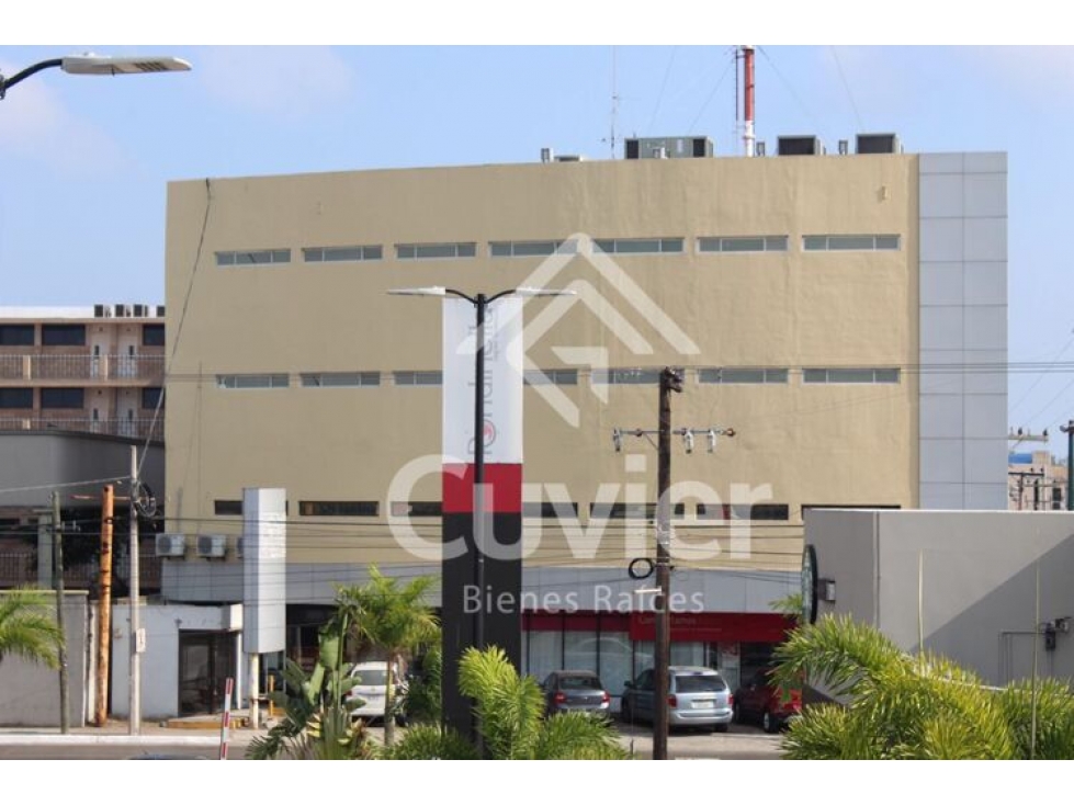 OR1994-VG OFICINA EN RENTA, AV. UNIVERSIDAD- PRECIO POR M2 - 2