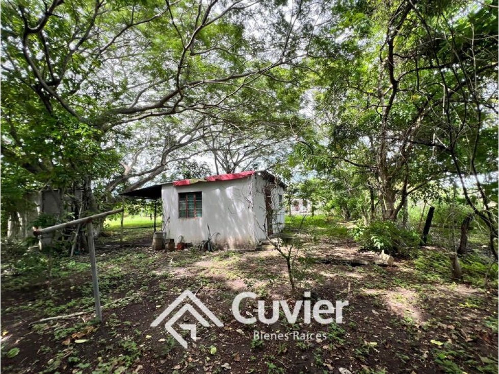 TV2356-RS TERRENO EN VENTA, ESTACIÓN TAMOS. - 6