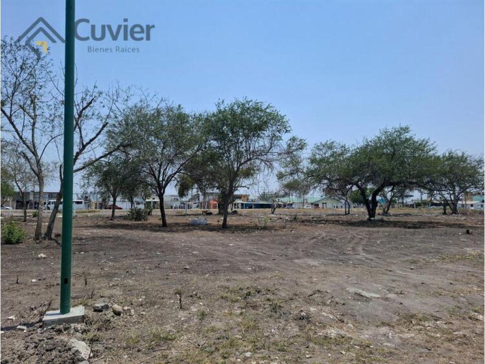 TV2459-JG TERRENO EN VENTA, ZONA CENTRO DE ALTAMIRA — foto 3