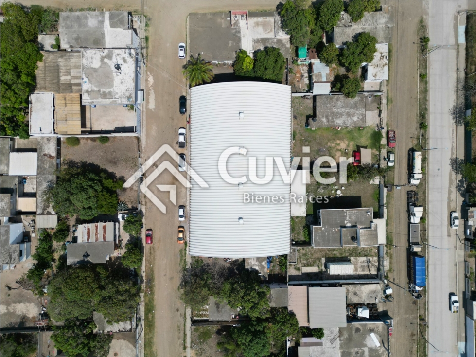 BV2366-DE BODEGA EN VENTA, COL. ALEJANDRO BRIONES - 3