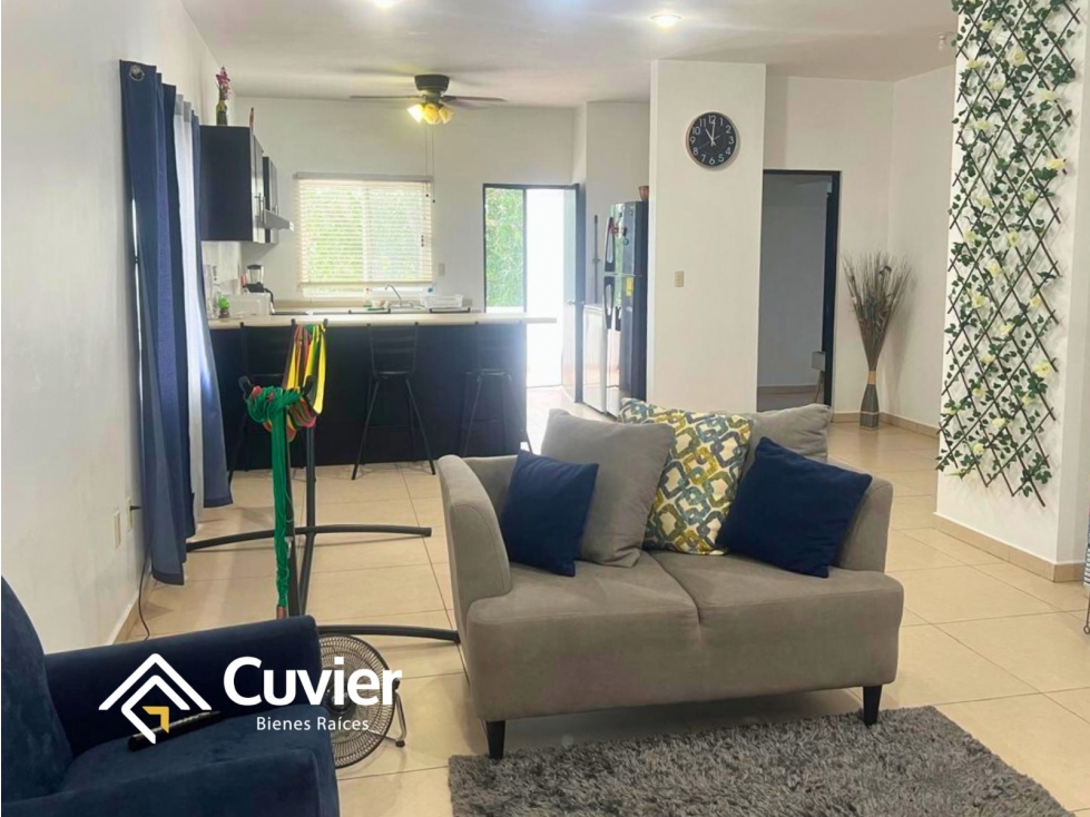 DR2447-DE DEPARTAMENTO EN RENTA, AV. ROSALIO BUSTAMANTE — foto 4