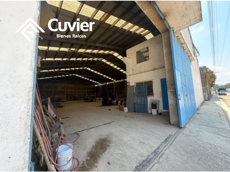 BR2694-ZR BODEGA EN RENTA, COL. DEL BOSQUE - 5