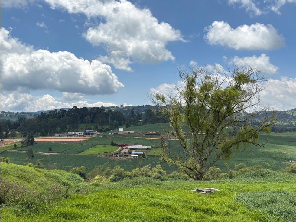 Lote en venta en parcelación cerrada en San Pedro de los Milagros - 4