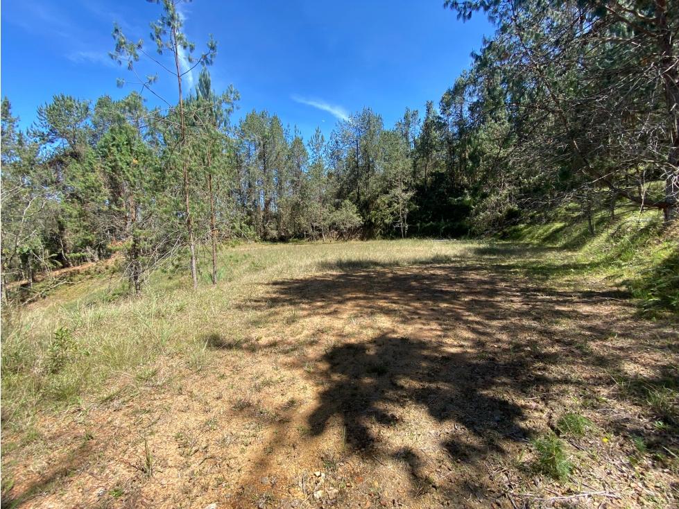 LOTE EN PARCELACIÓN EN EL RETIRO - CARRIZAL