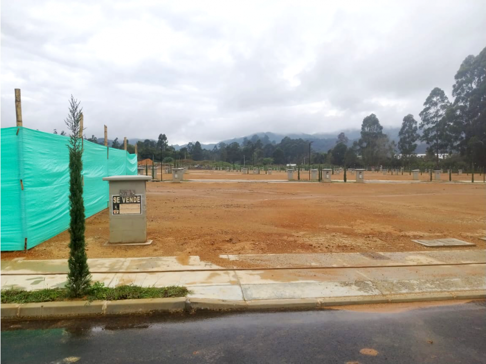 Lote en venta en parcelación campestre Los Tambos, La Ceja — foto 4