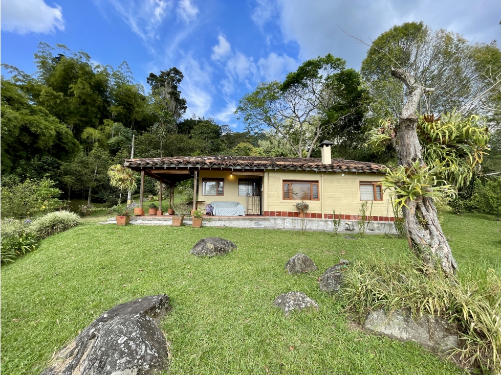 Lote en venta 4.492 m² - Vereda Santa Catalina, Envigado — foto 4