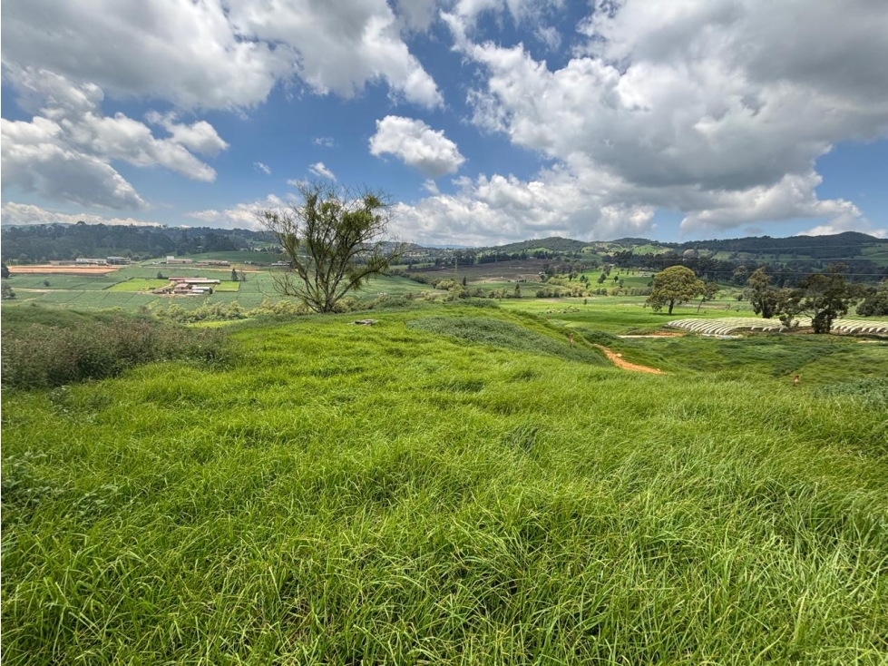 Lote en venta en parcelación cerrada en San Pedro de los Milagros - 3