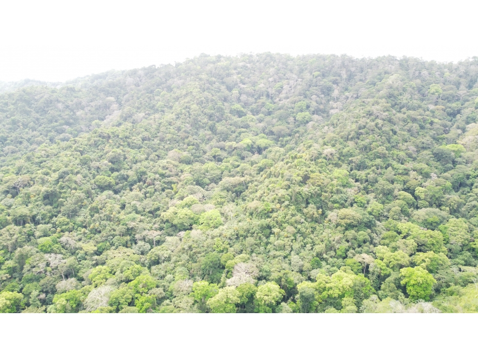 Venta de finca en Santa Fé Cucunati Darien - 2