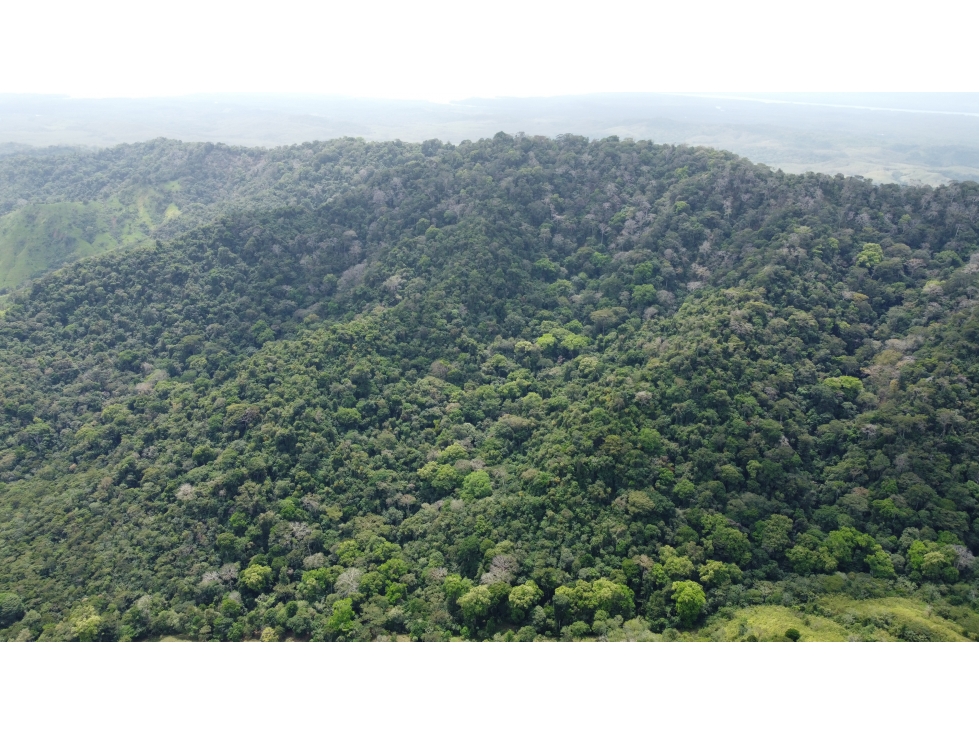 Venta de finca en Santa Fé Cucunati Darien - 3