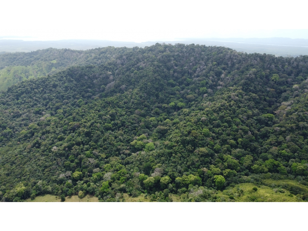 Venta de finca en Santa Fé Cucunati Darien - 4