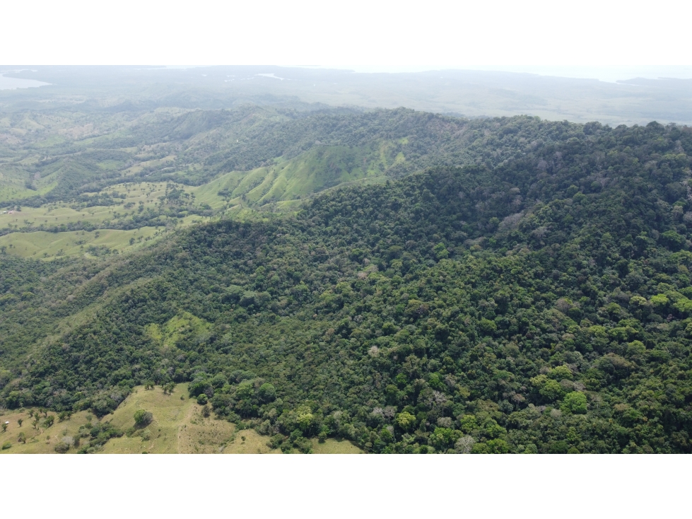 Venta de finca en Santa Fé Cucunati Darien - 5